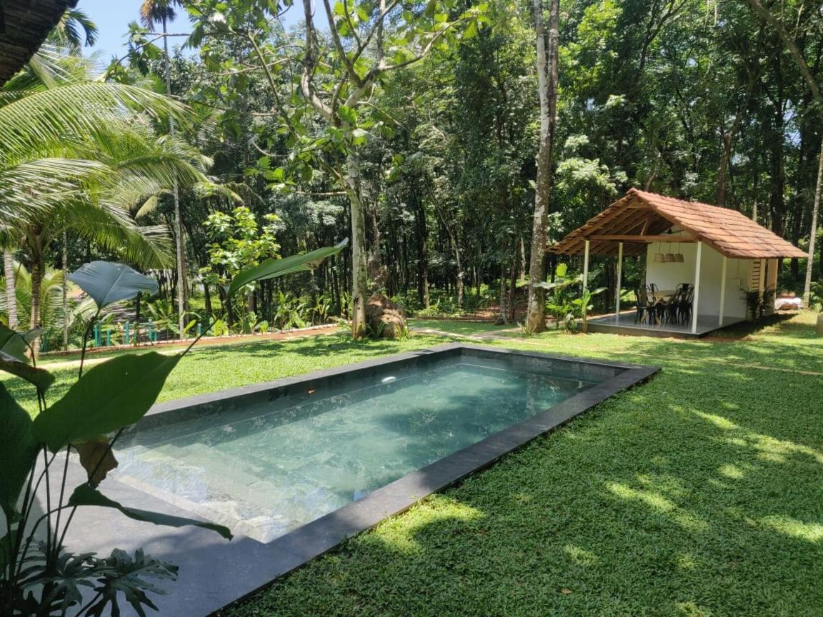 Pool Villa - The Humming Trees, Pala Lālam エクステリア 写真